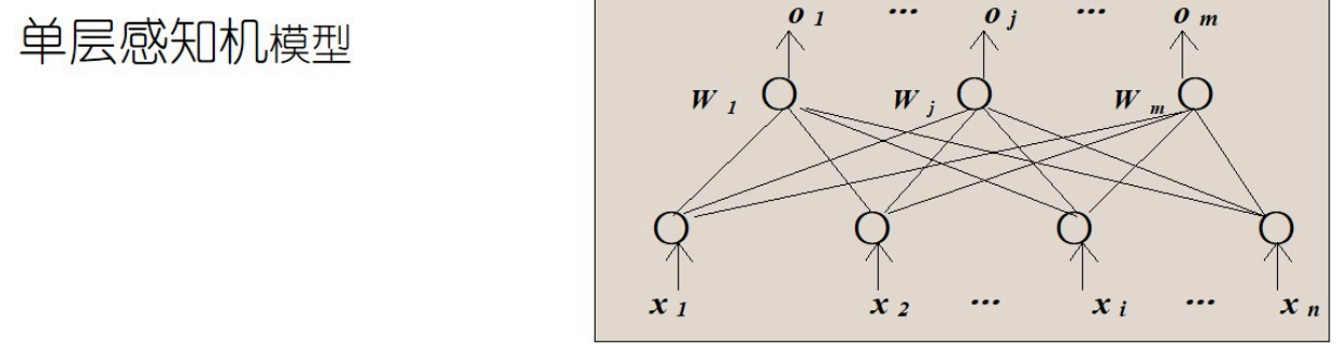 image-20250618155656387